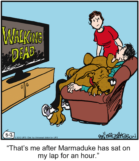 marmaduke